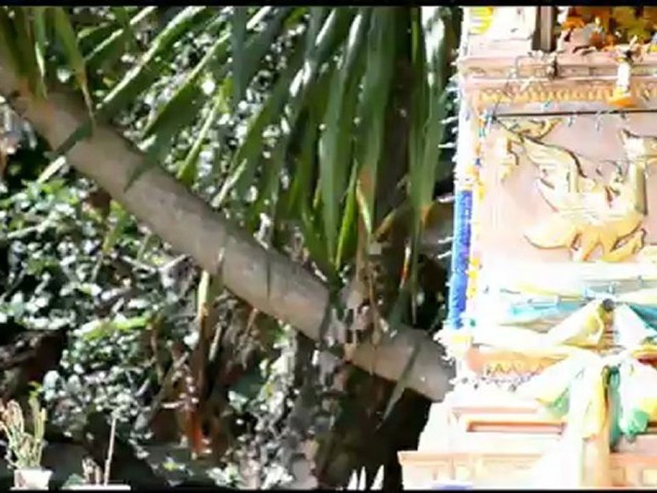 КАК ПРИВОРОЖИТЬ ПАРНЯ: НЕСКОЛЬКО ПРОСТЫХ СПОСОБОВ ПРИВОРОТА В ДОМАШНИХ УСЛОВИЯХ