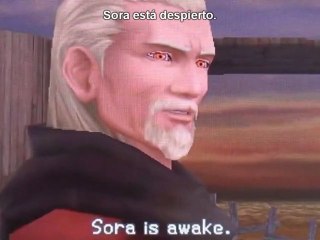 Kingdom Hearts 3D [Riku - La Torre de los Misterios] 165 - El legado de Ansem el Sabio (Sub. Español)