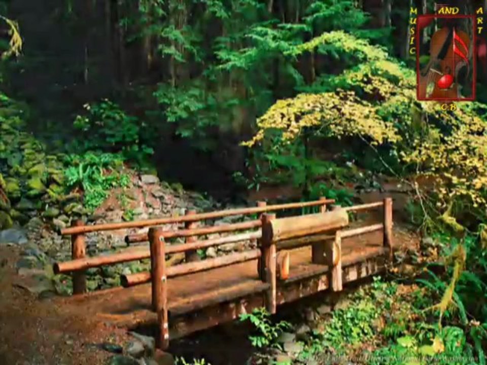 REFLECTIONS(RICHARD CLAYDERMAN)