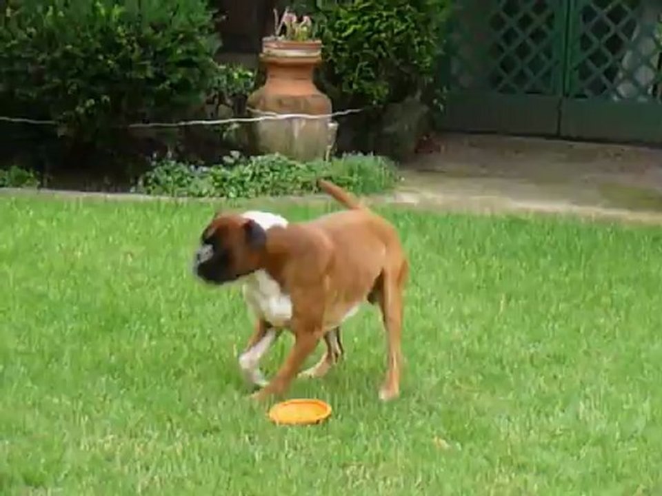 EWANE et EOLE    EOLE dans le jardin