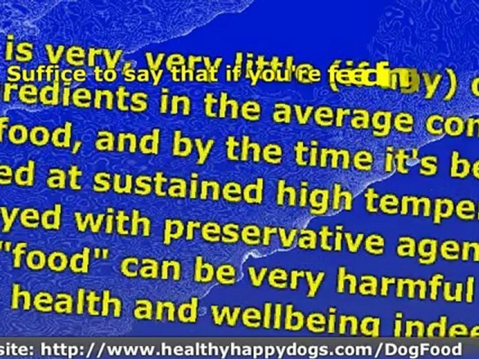 Commercial Pet Food for Your Dog?