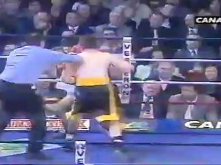 julien lorcy vs vera