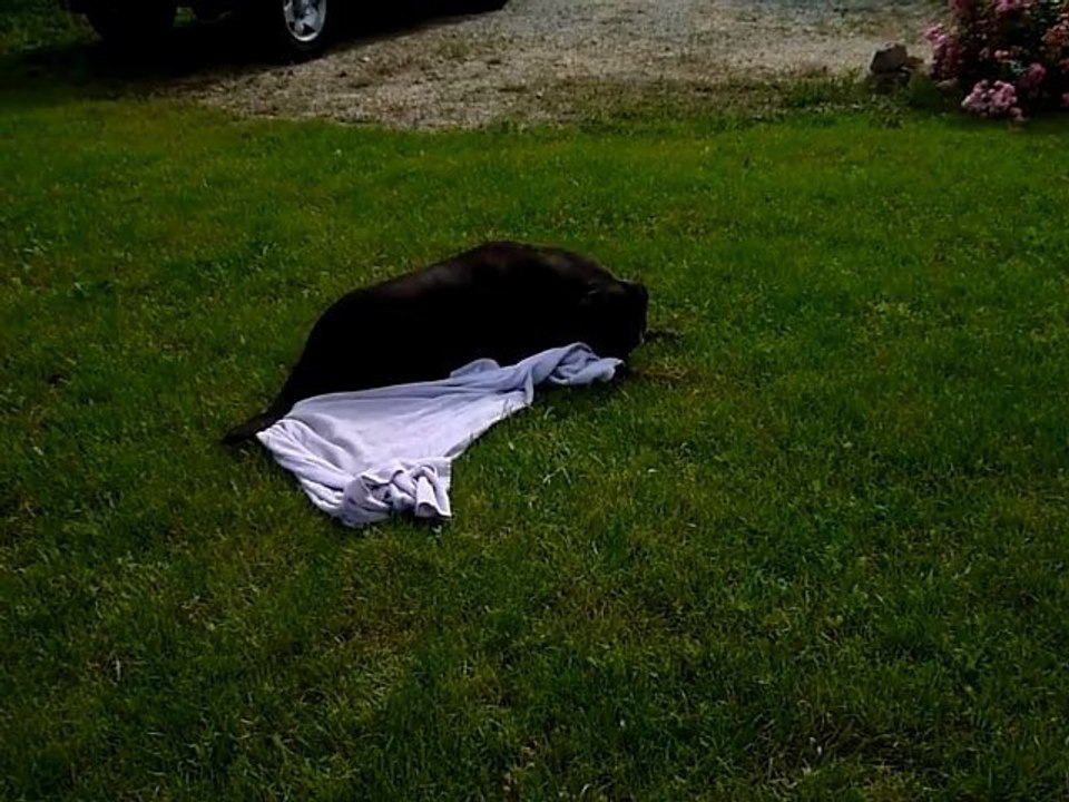 EWANE et EOLE   -  EWANE à la mer  -  vol.4