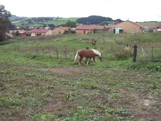 Bounty trouve l'entrée de la prairie
