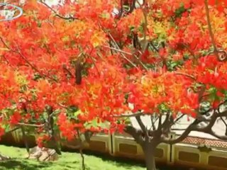 Viethamvui.us Tu01HocTr0 _4