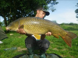 Session de 6 nuits en Saône (fin juin 2012)