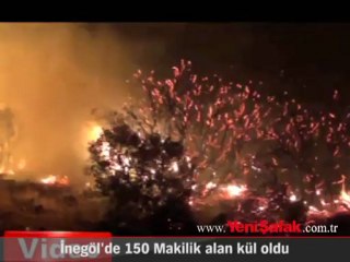 İnegöl''de 150 Makilik alan kül oldu