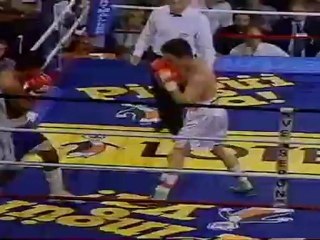 julien lorcy vs rodriguez