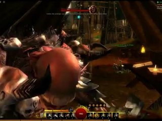 gw2 bug
