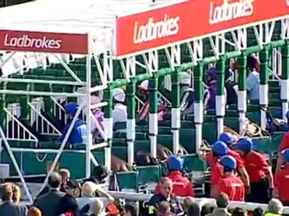 15.09.2012 Doncaster (GB) 4.Race Ladbrokes St Leger Stakes 2012 - Group I 2.937 m Winner: Encke