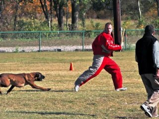 French Ring compilation of 2010-2012