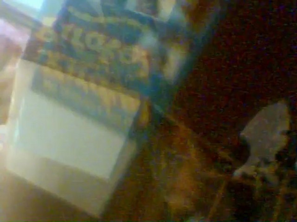 julie qui julie quoi