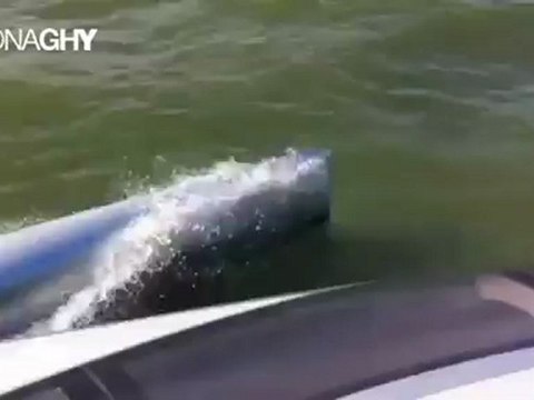 kiralik tekne istanbul