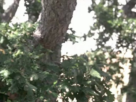 kiralik tekne istanbul fiyat