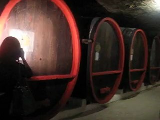 Экскурсия в криковские подвалы 2