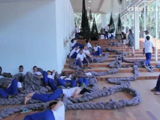 Inhotim 2012 Premiere: Lygia Pape, Tunga