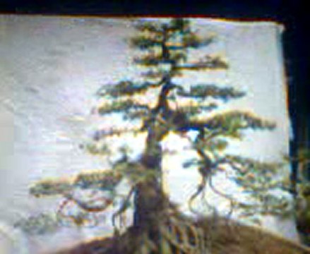 Trung tâm sửa máy giặt ELECTROLUX tại nhà 0914 112 226