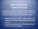 Genetically Engineered Food: A Serious Problem