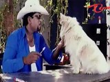 Telugu Comedy Scene Between Ravi Babu - Brahmi