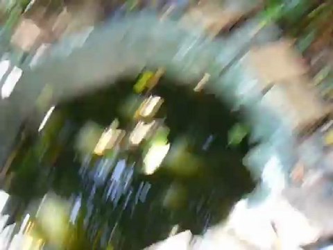 Alors comment vont les poissons rouges!!(+panier réussie!!)