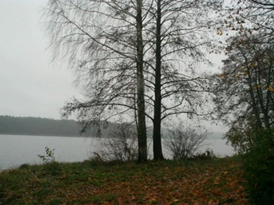 vikno