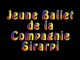 Spectacle du Jeune Ballet de la Compagnie Sirarpi