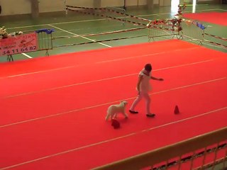 fatal 2éme passage septimanie092012