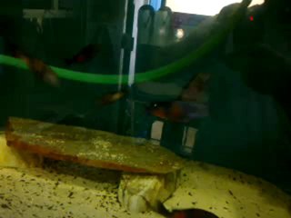 bursa üretim merkezi