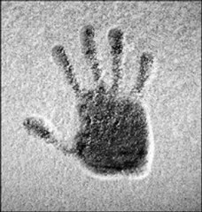 Tanrı Beni İlkbaşta Sana Kul Yaptı