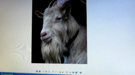 I PAPI E IL SESSO CAP. 5 (TEODORA)