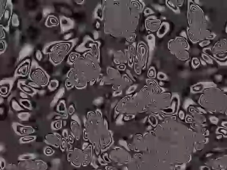 Texture_04（Microscope）