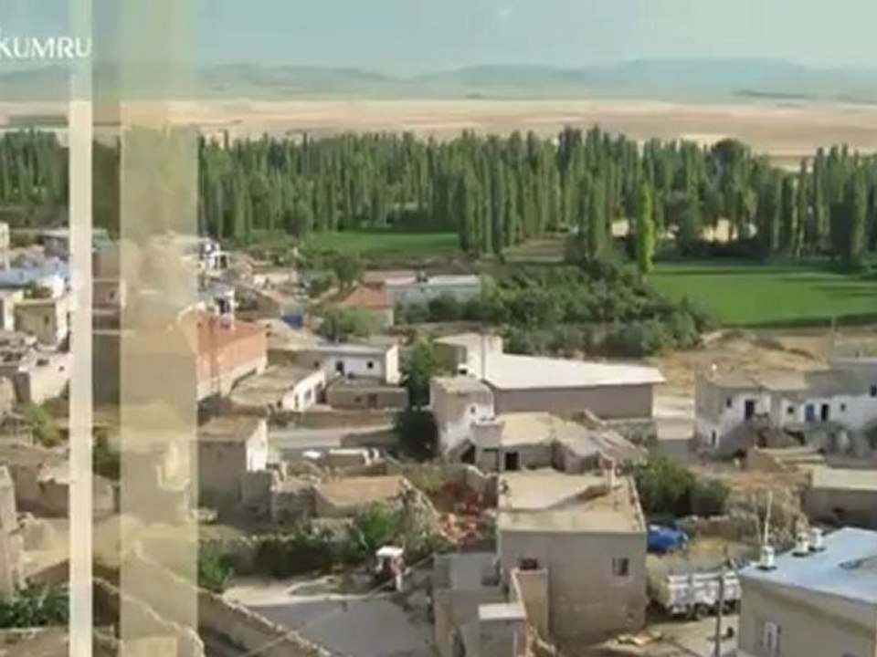 videoplayback_12