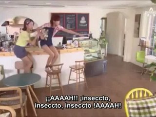 Señorita Panda y Puerco espin en Español  4-2