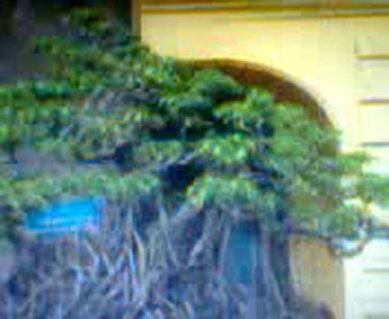 Trung tâm sửa tủ lạnh DAEWOO 0914 112 226