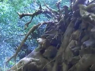 Crespin AVEYRON et Land'Art