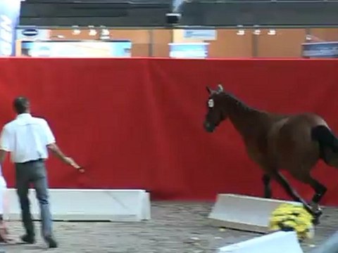 Lily Concours National Hus 2 ans 15.09.1