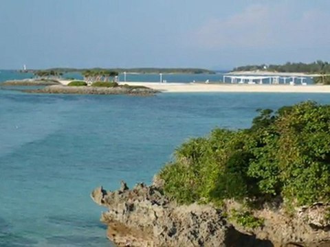 Salvatore Adamo　Sans Toi Ma Mie