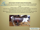The Horse Saddle and Horse Saddle Pads