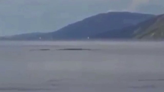 Une apparition du montre du Lock Ness ?