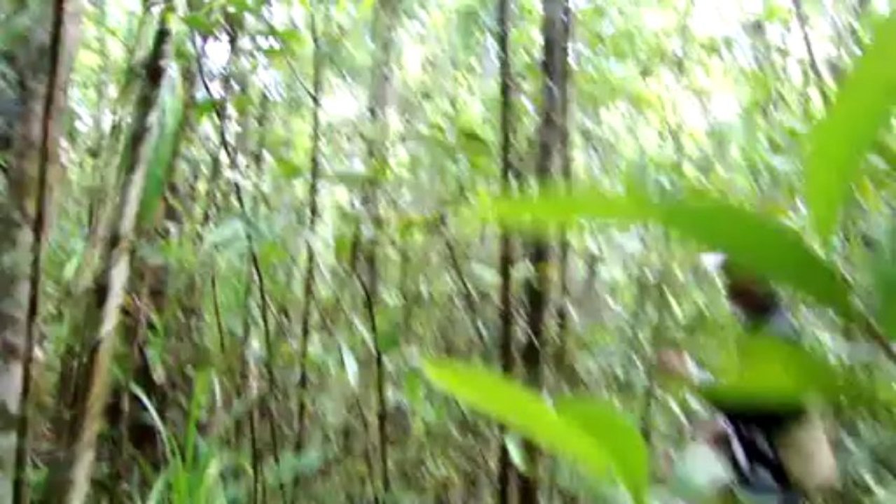 Impressionen aus Madagaskar - Vivamundo Reisen, www.vivamundo-reisen.de