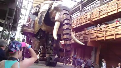 Les machines de Nantes  l'éléphant