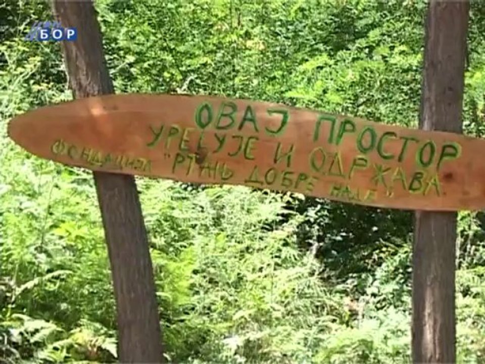 Zeleni ekran, 25. avgust 2013.