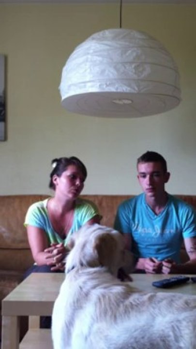 Recherche appartement ou maison