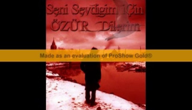 ALİ TEMEL EY SEVDİĞİM