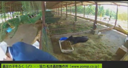 2013-08-25 11-38-　男性ボラさん