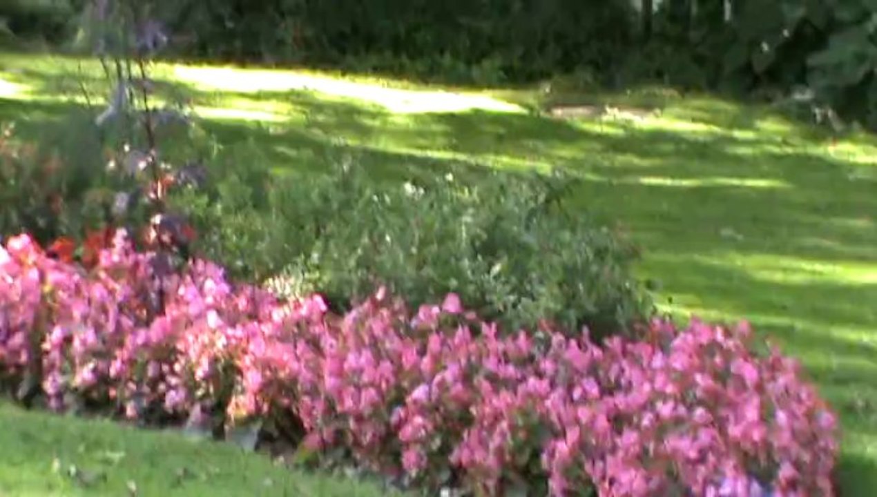 Diabetes Klinik Bad Mergentheim Videos von Bad Mergentheim