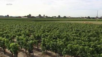 Vins à la carte - Le Pomerol