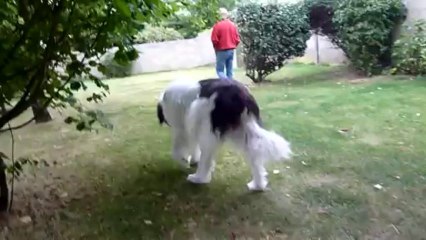 Tamia ne va pas bien (3)