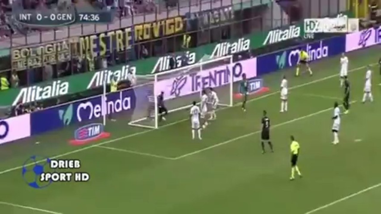 Inter vs Genoa 2-0 2013  All Goals & Full Match Highlights