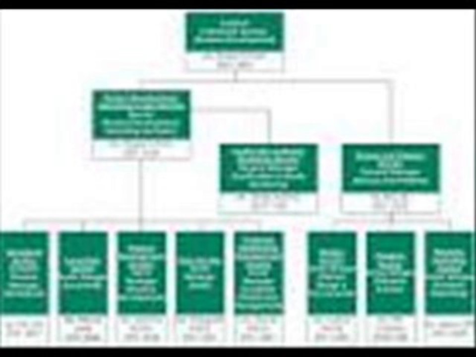 Rob Gibbins Develop commercially viable and successful tele-business solutions